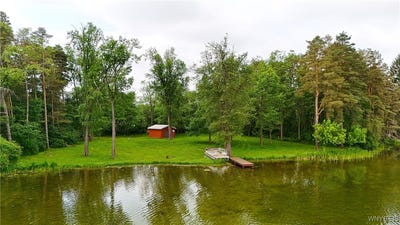 /international/us/genesee-road-sardinia-ny-110100303394/?lang=en