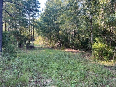 /international/us/53-hwy-clayton-al-110086214358/