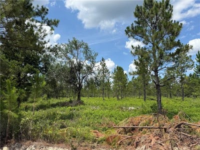 /international/us/waycross-ga-110100474956/