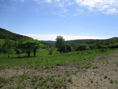 /international/us/horse-run-road-shinglehouse-pa-110099693647/