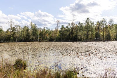 /international/us/0-whitehouse-fork-road-bay-minette-al-110090437605/