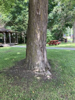 /international/us/3-main-street-cherry-valley-ny-110101695320/