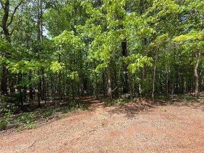 /international/us/1-lee-road-72-waverly-al-110102306134/