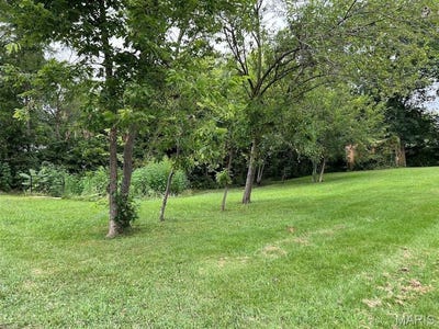 /international/us/0-meadow-lane-kirksville-mo-110106379437/
