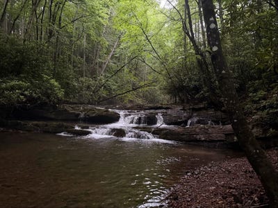 /international/us/tdb-cove-creek-rd-bastian-va-110108946168/