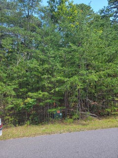 /international/us/2985-new-ridge-rd-elliston-va-110100682519/