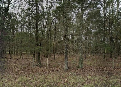 /international/us/hermitage-mo-110120509607/