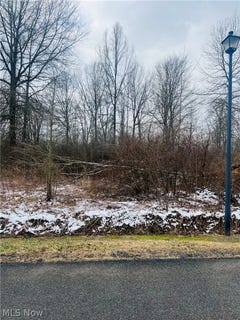 /international/us/breezewood-lane-lot-134-orwell-oh-110106534118/