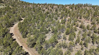 /international/us/01500-se-osprey-road-prineville-or-110098751313/