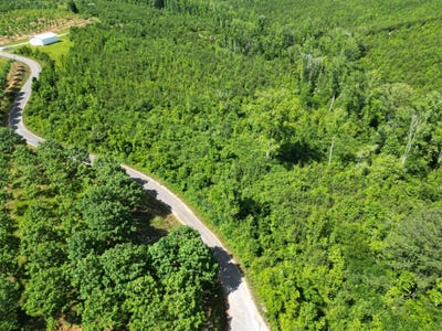 /international/us/0-berry-rd-valley-grande-al-110100060840/