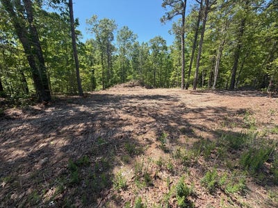 /international/us/whispering-pines-lane-licking-mo-110107962363/