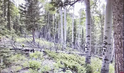 /international/us/425-rim-road-cimarron-co-110098422806/