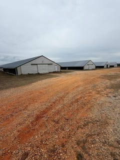 /international/us/127-cooper-road-clayton-al-110104259657/