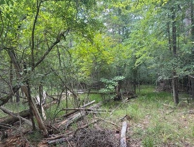 /international/us/000-pine-knoll-eatonton-ga-110100939999/?lang=es