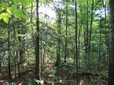 /international/us/on-alpine-dr-lot-16-upson-wi-110108441051/