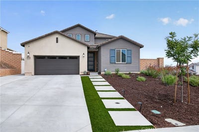/international/us/26264-painted-daisy-menifee-ca-110108782141/