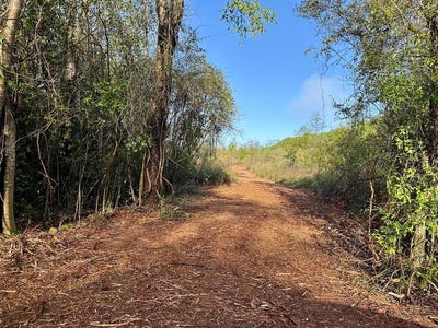 /international/us/5-47-acres-n-county-road-61-hartford-al-110106926468/