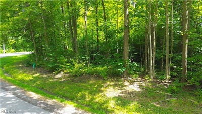 /international/us/1151-laurel-drive-west-salem-oh-110109388810/