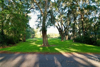 /international/us/lot-2-oak-island-drive-midway-ga-110101368310/?lang=zh-cn