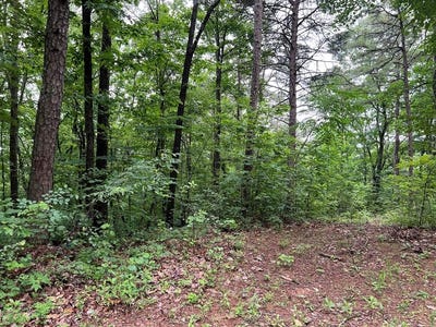 /international/us/198-log-round-mountain-trail-ellijay-ga-110101074517/?lang=zh-cn