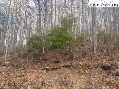/international/us/212-jackpine-road-beech-mountain-nc-110106722198/