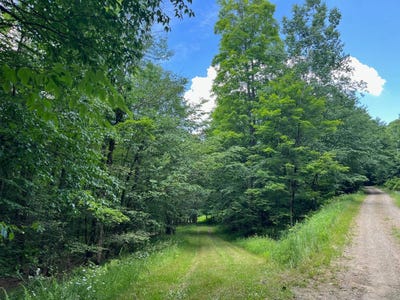 /international/us/260-sylvan-glen-south-frewsburg-ny-110100970120/