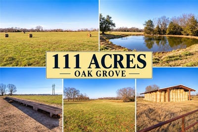 /international/us/111-acres-county-road-433-oak-grove-ar-110110329482/