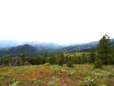 /international/us/-b-vista-view-ln-inchelium-wa-110103251057/