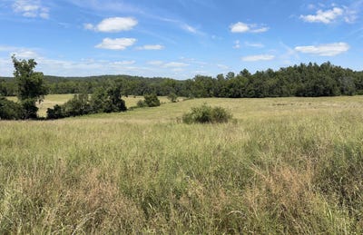 /international/us/3922-county-road-534-ellington-mo-110108026884/