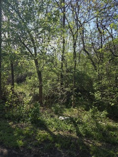 /international/us/0-archbold-ave-roanoke-va-110107481056/