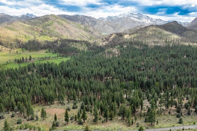 /international/us/silver-peak-rd-markleeville-ca-110107254651/