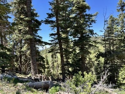 /international/us/w-north-fork-rd-duck-creek-village-ut-110108613839/?lang=es