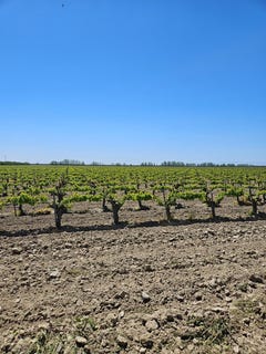 /international/us/w-north-avenue-kerman-ca-110083917174/