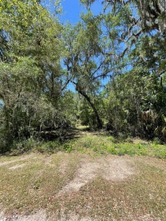 /international/us/3140-hwy-55a-old-town-fl-110088689614/
