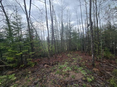 /international/us/14453-w-shoreline-drive-wolverine-mi-110108220471/