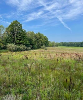/international/us/10-acres-3-mile-road-reed-city-mi-110106254491/