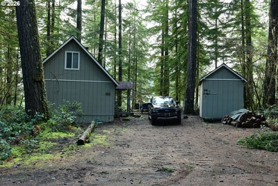/international/us/cabin-44-northwoods-cougar-wa-110106228838/