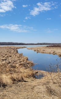 /international/us/512xx-leaf-river-road-tract-a-ottertail-mn-110108706210/
