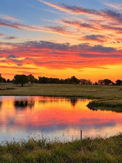 /international/us/11692-preston-estates-drive-celina-tx-110120018873/