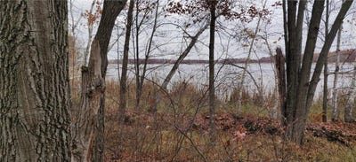 /international/us/tbd-snowshoe-trail-staples-mn-110105521143/