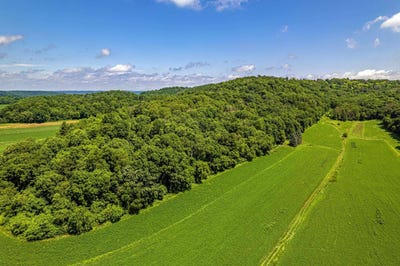/international/us/80-acres-020-1133-000-020-1134-0000-richland-center-wi-110100693939/?lang=zh-cn