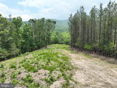 /international/us/22-29-ac-north-texas-road-delray-wv-110100314817/?lang=zh-tw