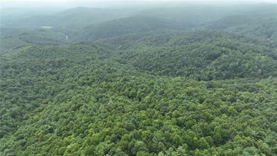 /international/us/0-griffin-lane-millers-creek-nc-110101197961/?lang=zh-tw