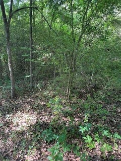 /international/us/106-108-trail-glen-dr-mabank-tx-110100979265/?lang=zh-tw