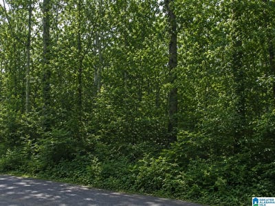 /international/us/216-redwood-drive-lot-17-alabaster-al-110107954703/