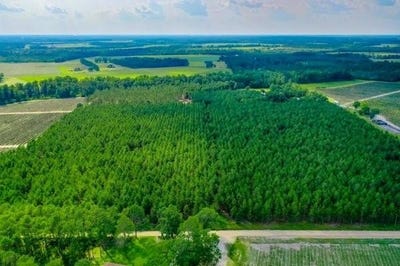 /international/us/4060-county-farm-road-road-blackshear-ga-110101012012/