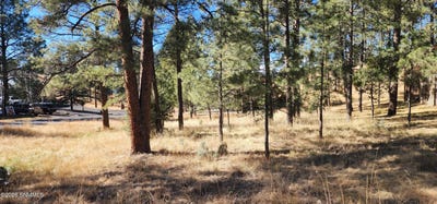 /international/us/604-white-mountain-meadows-drive-ruidoso-nm-110104812838/