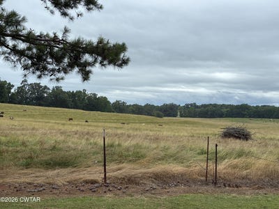 /international/us/1120-pleasant-ridge-road-finger-tn-110108958201/