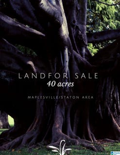 /international/us/0-county-road-45-maplesville-al-110094966963/?lang=zh-cn