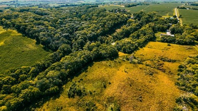 /international/us/8-acres-masters-road-glenwood-ia-110100467161/